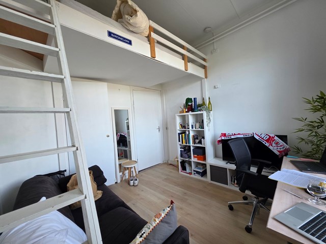Foto 3: Breda - Baronielaan - Foto 3