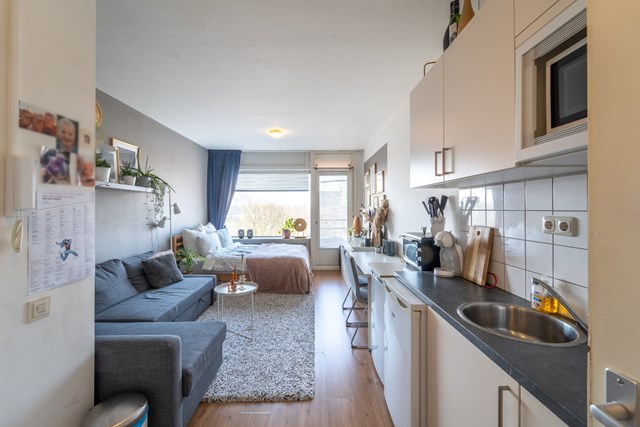 Foto 3: Groningen - Populierenlaan - Foto 3