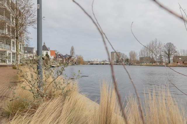 Foto 3: Haarlem - Bellevuelaan - Foto 3