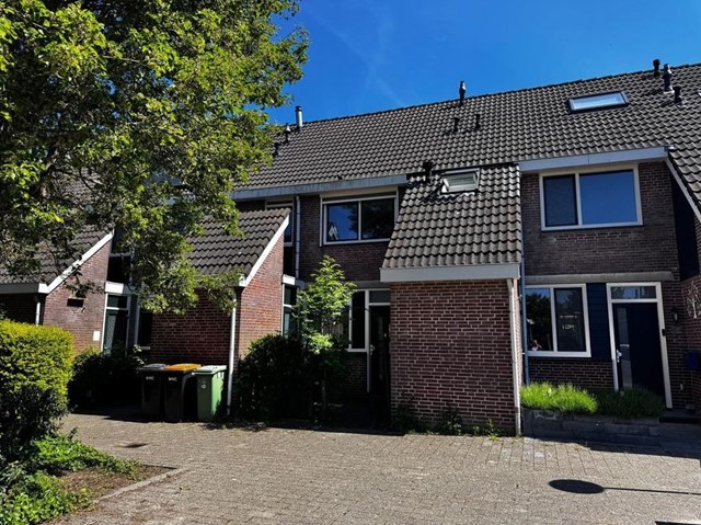 Foto 5: Zwaag - Hondsdraf - Foto 5