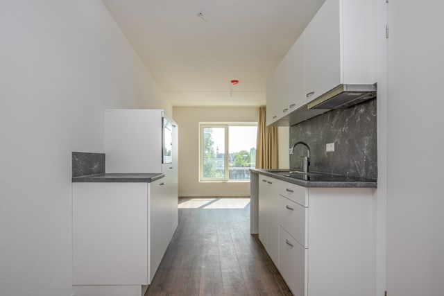 Foto 2: Amsterdam - Panamalaan - Foto 2