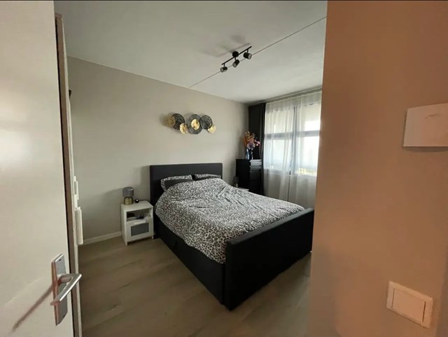 Foto 5: Helmond - Oostende - Foto 5