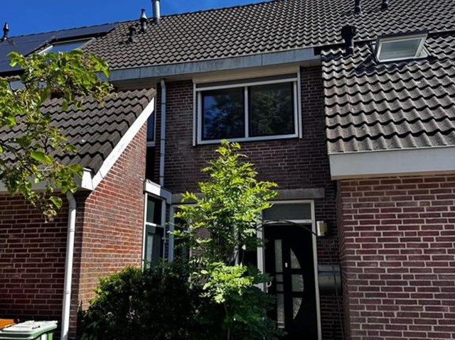 Foto 4: Zwaag - Hondsdraf - Foto 4