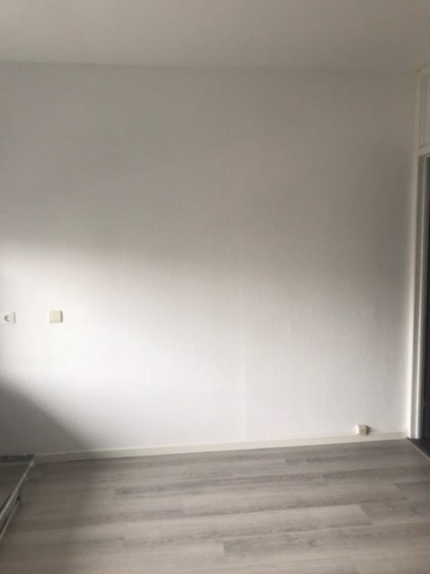 Foto 3: Terneuzen - Fahrenheitlaan - Foto 3