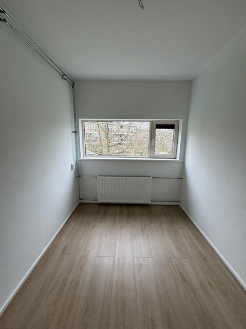 Foto 6: Diemen - Wilhelminaplantsoen - Foto 6