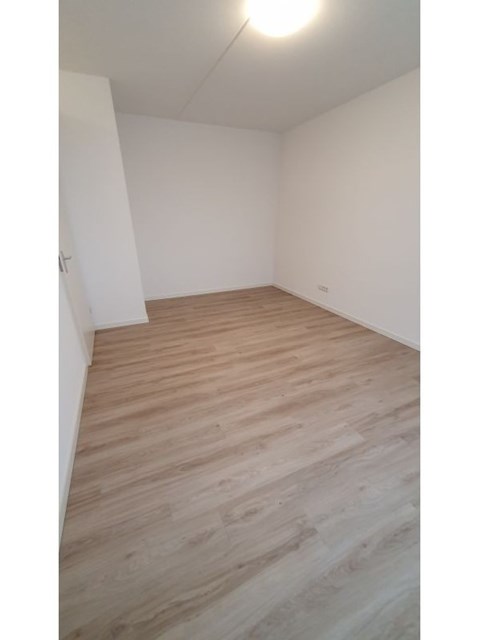 Foto 5: Veldhoven - Blauwe Kei - Foto 5