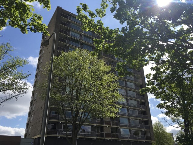 Foto 2: Groningen - Eikenlaan - Foto 2