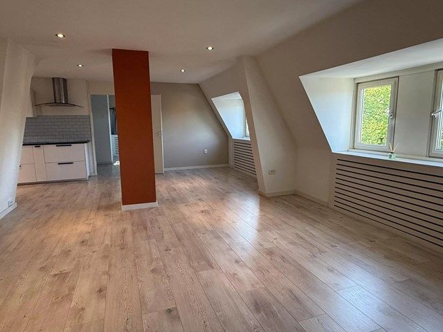 Foto 4: Venlo - Papegaaistraat - Foto 4