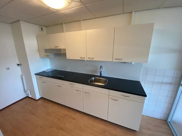 Foto 5: Heerhugowaard - Tamarixplantsoen - Foto 5