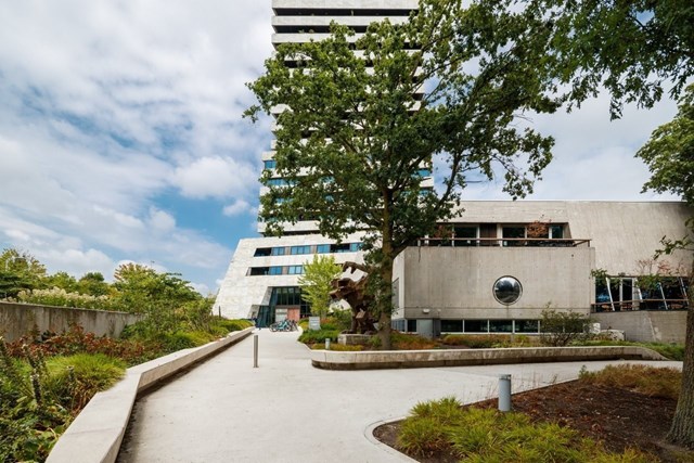 Foto 2: Eindhoven - Vincent van Den Heuvellaan - Foto 2