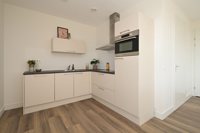 Foto 7: Den Haag - Boekweitkamp - Foto 7