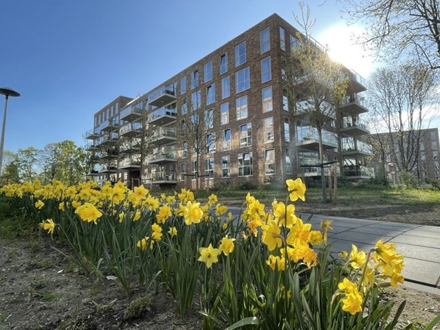 Foto 1: Utrecht - Winklerlaan - Foto 1