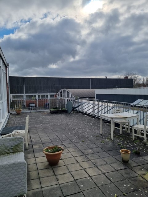 Foto 6: Groningen - Paradijsvogelstraat - Foto 6