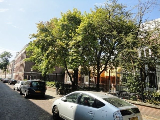 Foto 5: Den Haag - Van Speijkstraat - Foto 5