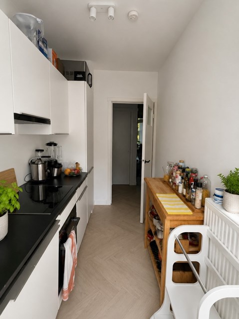 Foto 2: Amsterdam - Minervalaan - Foto 2