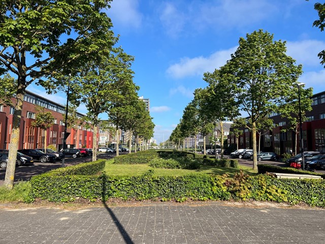 Foto 2: Amsterdam - Valutaboulevard - Foto 2