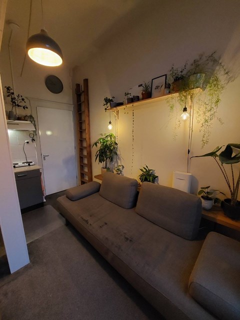 Foto 4: Zwolle - Oosterlaan - Foto 4