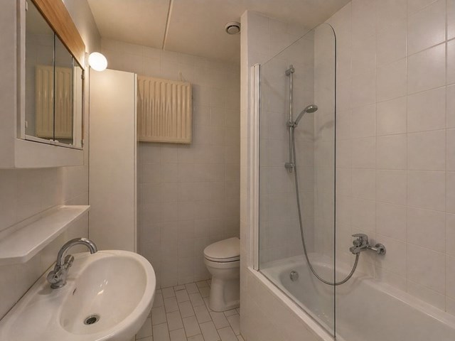 Foto 6: Diemen - Hermelijnvlinder - Foto 6