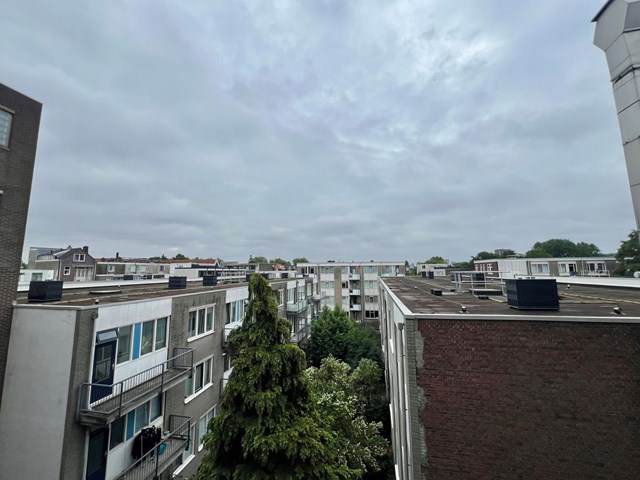 Foto 6: Rotterdam - Vlietlaan - Foto 6