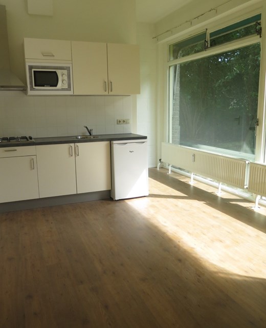 Foto 1: Groningen - Populierenlaan - Foto 1