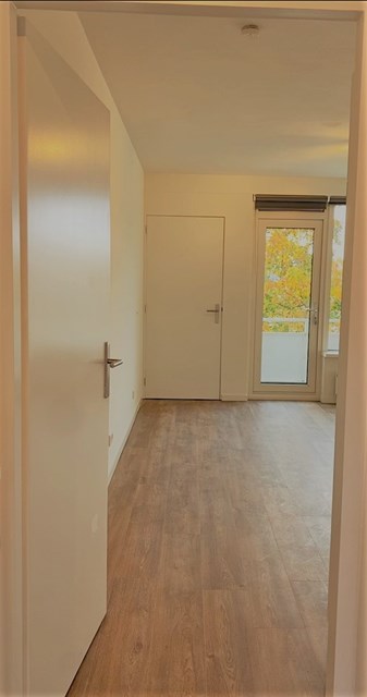 Foto 4: Eindhoven - Franz Leharplein - Foto 4