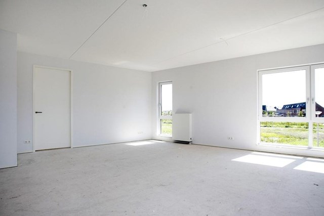 Foto 4: Vleuten - Moerasvaren - Foto 4