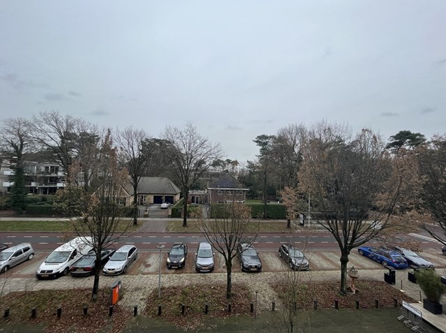 Foto 2: Den Dolder - Baarnseweg - Foto 2