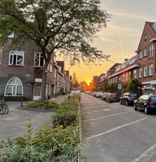 Foto 2: Eindhoven - Amalia van Anhaltstraat - Foto 2