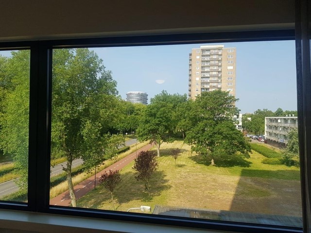 Foto 5: Haarlem - Robert Kochlaan - Foto 5