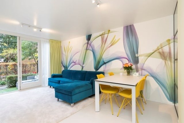 Foto 2: Amsterdam - Pontanusstraat - Foto 2