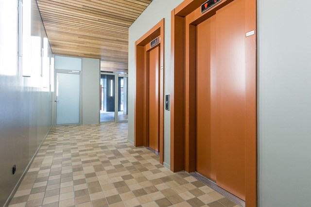 Foto 5: Eindhoven - Philitelaan - Foto 5