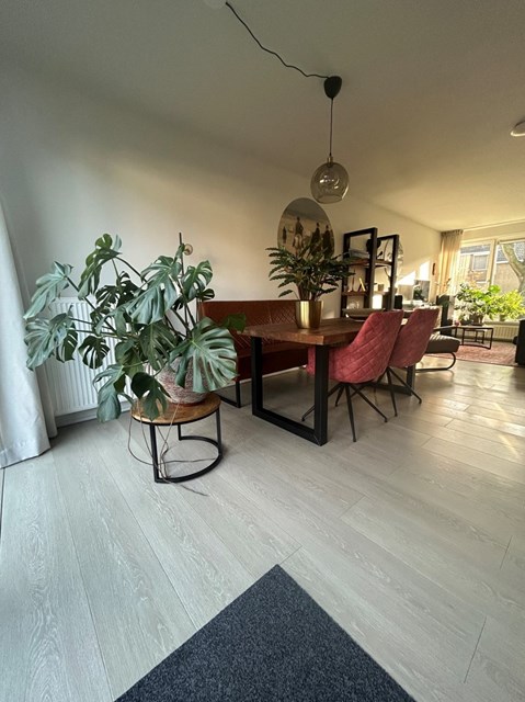 Foto 5: Mijnsheerenland - Zandgors - Foto 5