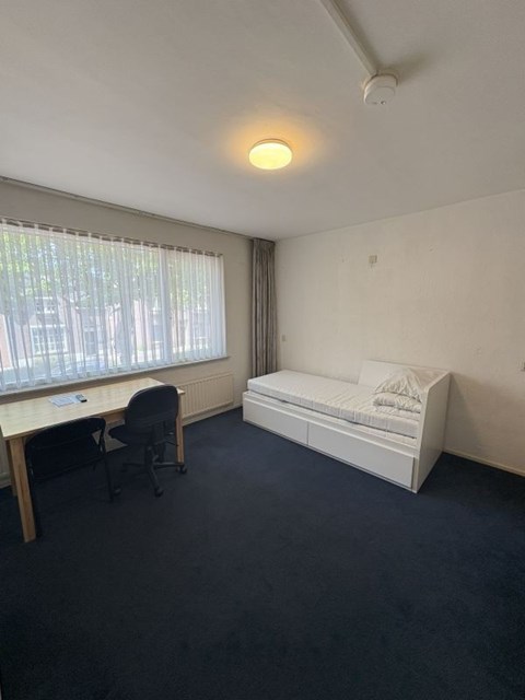 Foto 6: Eindhoven - Zeelsterstraat - Foto 6