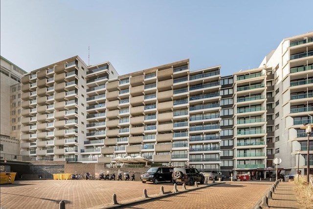 Foto 4: Noordwijk (ZH) - Duinroos - Foto 4