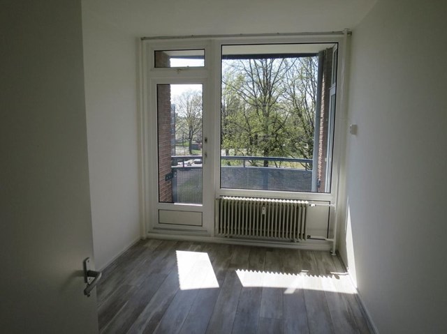 Foto 5: Deventer - Lingestraat - Foto 5