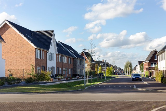 Foto 1: Apeldoorn - Ridderzwam - Foto 1