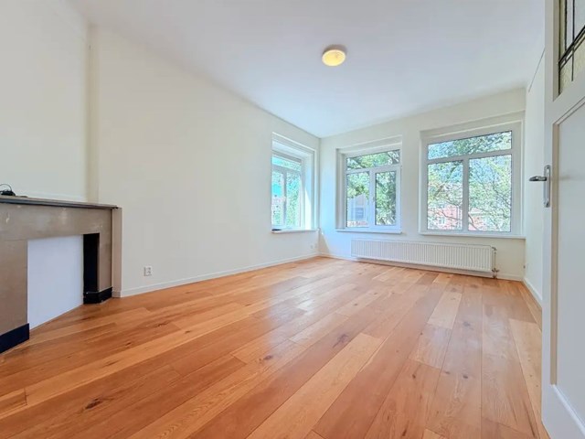 Foto 1: Den Haag - Thorbeckelaan - Foto 1