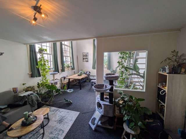 Foto 4: Delft - Koornmarkt - Foto 4