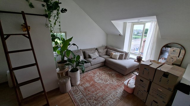 Foto 6: Den Bosch - Palmboomstraat - Foto 6