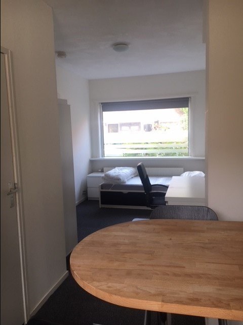 Foto 2: Eindhoven - Wilgenroosstraat - Foto 2