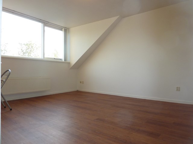 Foto 1: Utrecht - Amsterdamsestraatweg - Foto 1