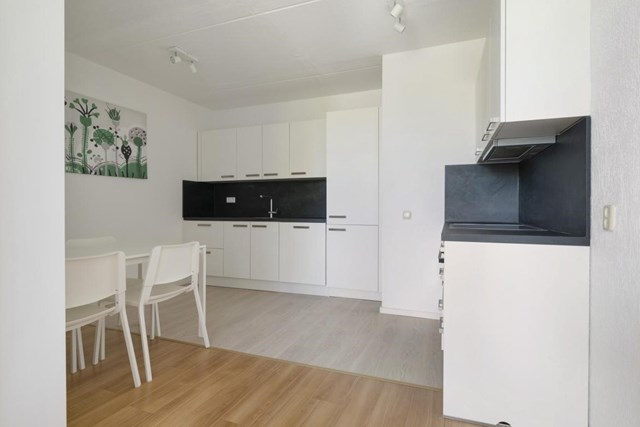 Foto 4: Amsterdam - Meeuwenlaan - Foto 4