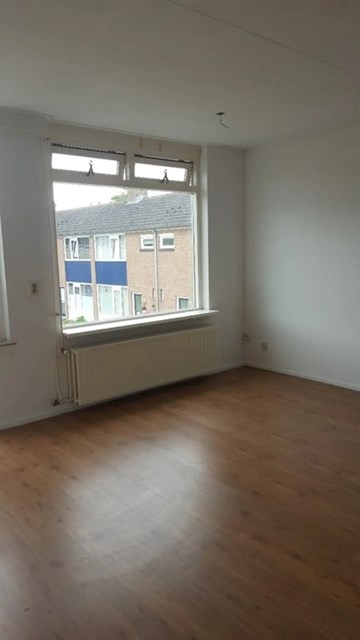 Foto 6: Terneuzen - Tamarindestraat - Foto 6