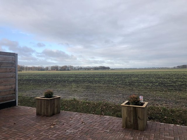 Foto 4: Noordbroek - Schoollaan - Foto 4
