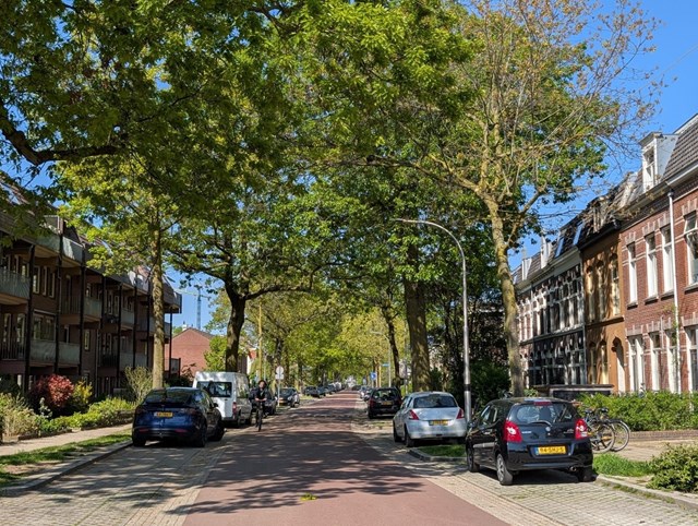 Foto 3: Nijmegen - Krayenhofflaan - Foto 3