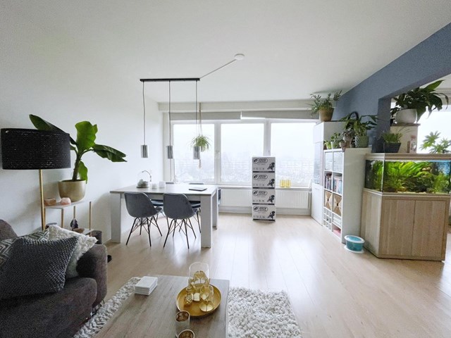 Foto 6: Leiden - Bachstraat - Foto 6