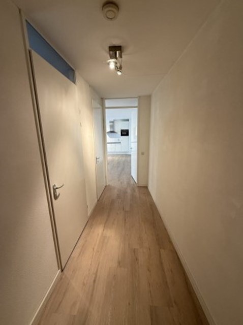 Foto 2: Eindhoven - Hoogstraat - Foto 2