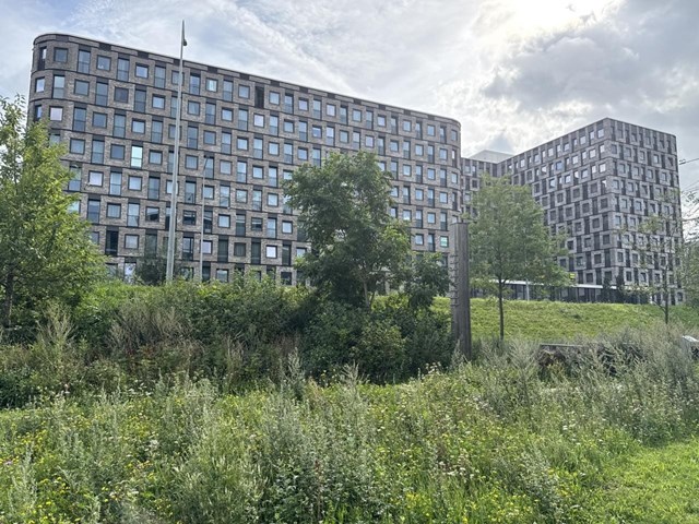 Foto 1: Amsterdam - Elizabeth Cady Stantonplein - Foto 1