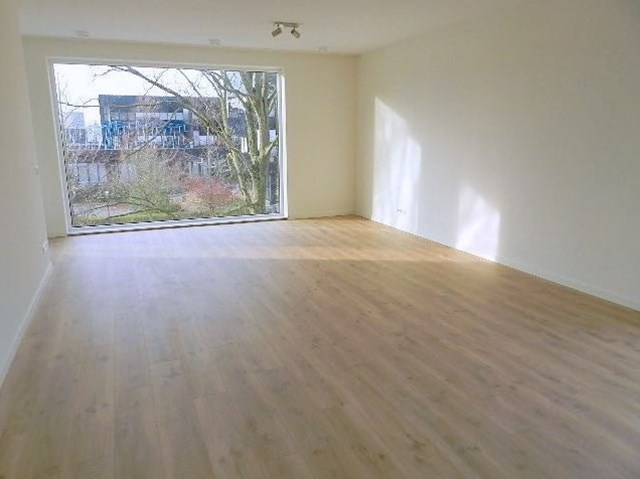 Foto 4: Haarlem - Richard Holkade - Foto 4