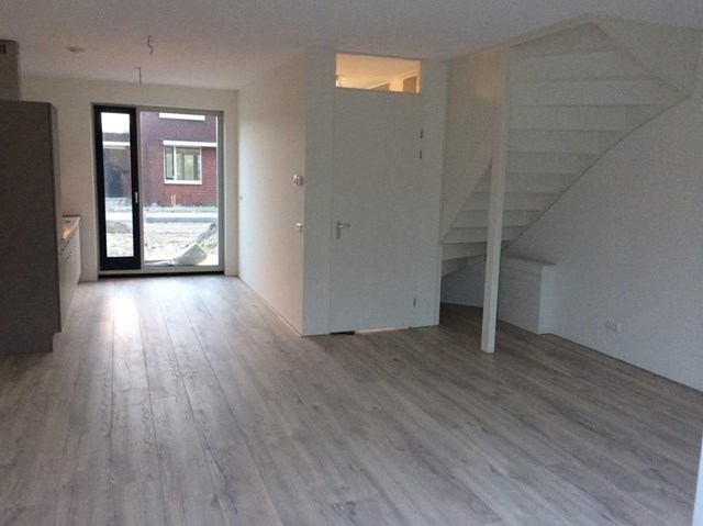 Foto 3: Schagen - Meerval - Foto 3